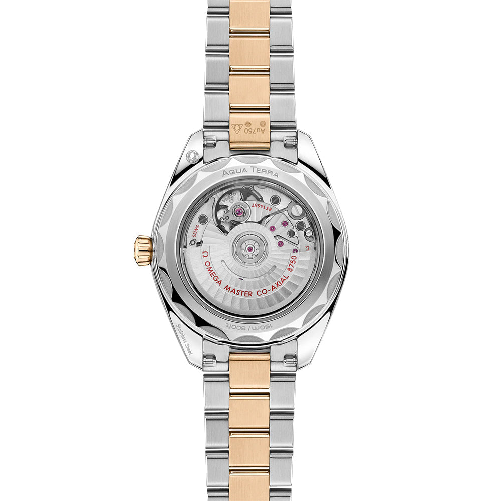 Seamaster Aqua Terra 150M Two-Tone 30mm - Silver on Bracelet