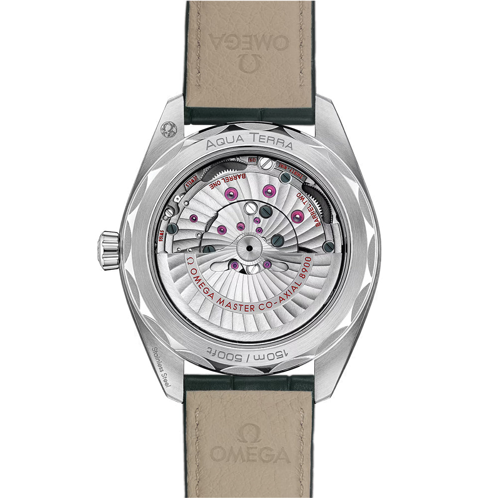 Seamaster Aqua Terra 150M 41mm - Green on Leather Strap