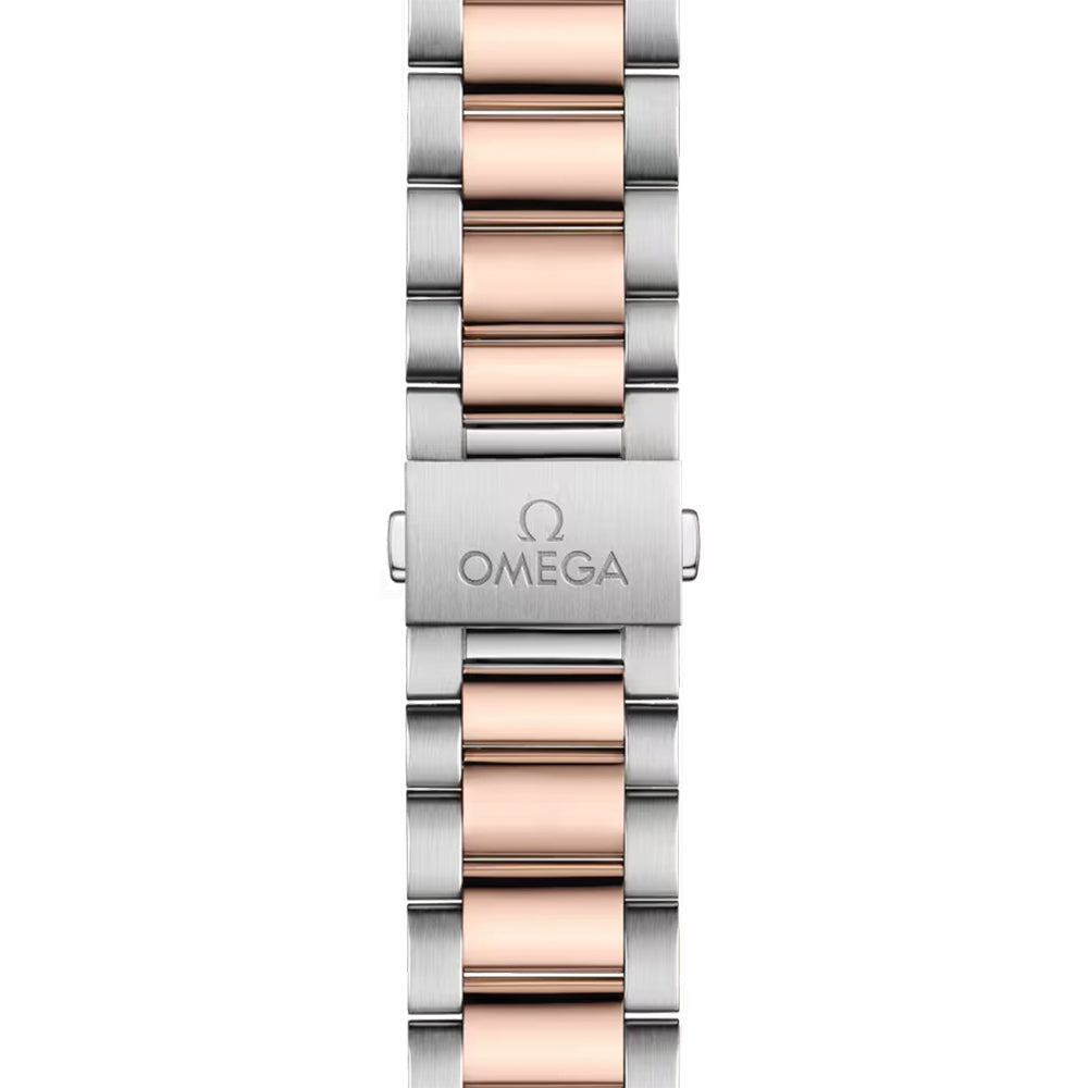 Seamaster Aqua Terra 150M Steel and Sedna™ Gold 38mm - Grey on Bracelet