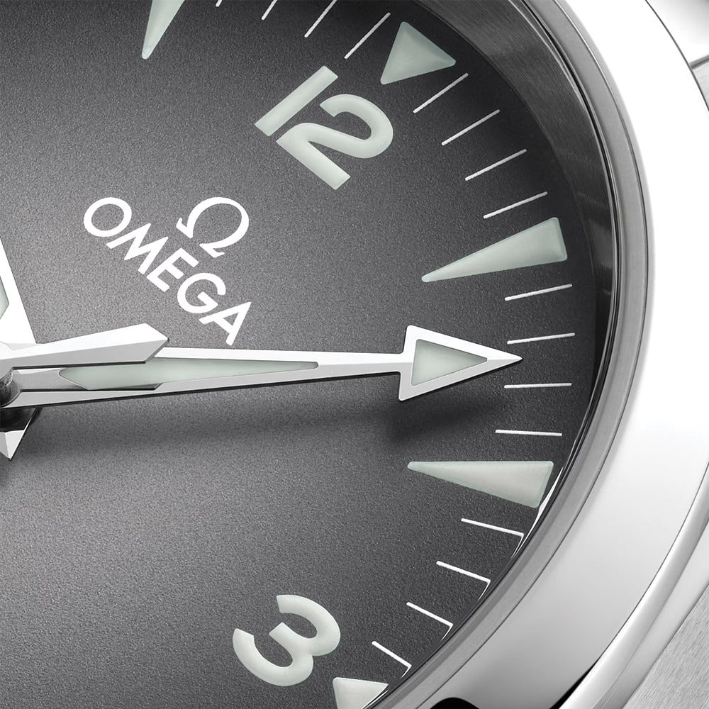 Seamaster Railmaster 38mm - Grey on Bracelet