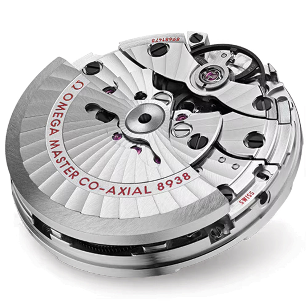 Seamaster Planet Ocean 600M Black Ceramic 45.5mm - Black on Rubber Strap