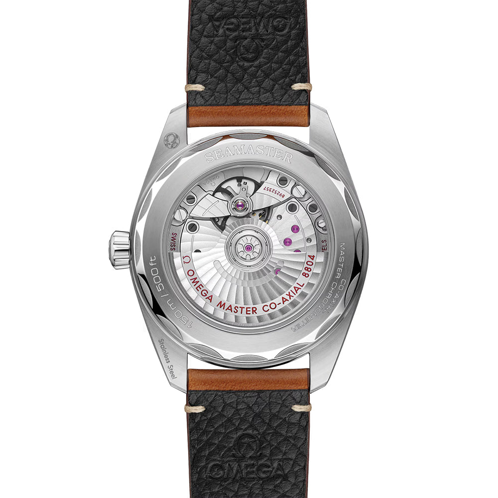 Seamaster Railmaster 38mm - Brown on Leather Strap