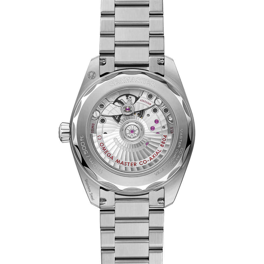 Seamaster Railmaster 38mm - Brown on Bracelet