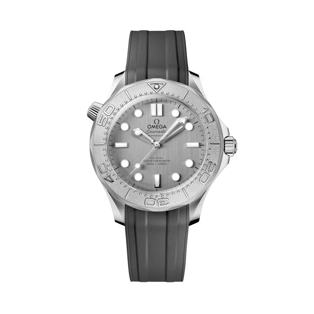 Seamaster Diver 300M Titanium Bezel 42mm - Grey on Rubber Strap