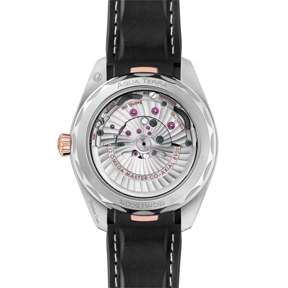 Seamaster Aqua Terra 150M Steel and Sedna™ Gold 41mm - Silver on Rubber Strap