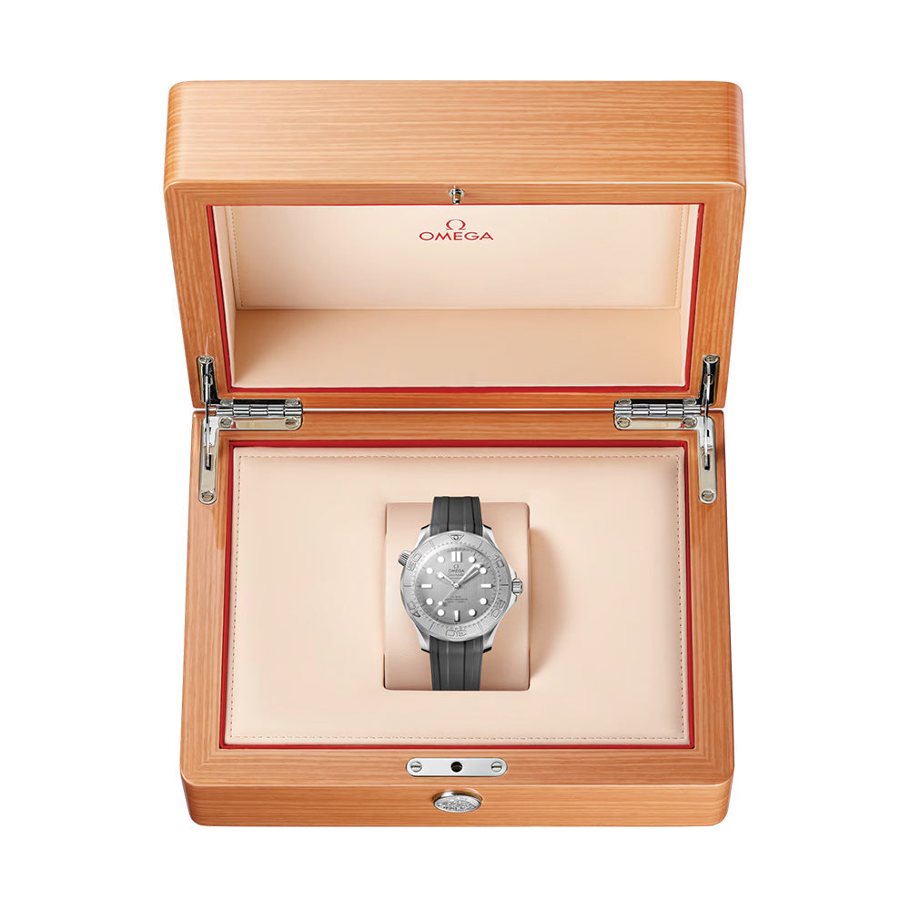Seamaster Diver 300M Titanium Bezel 42mm - Grey on Rubber Strap