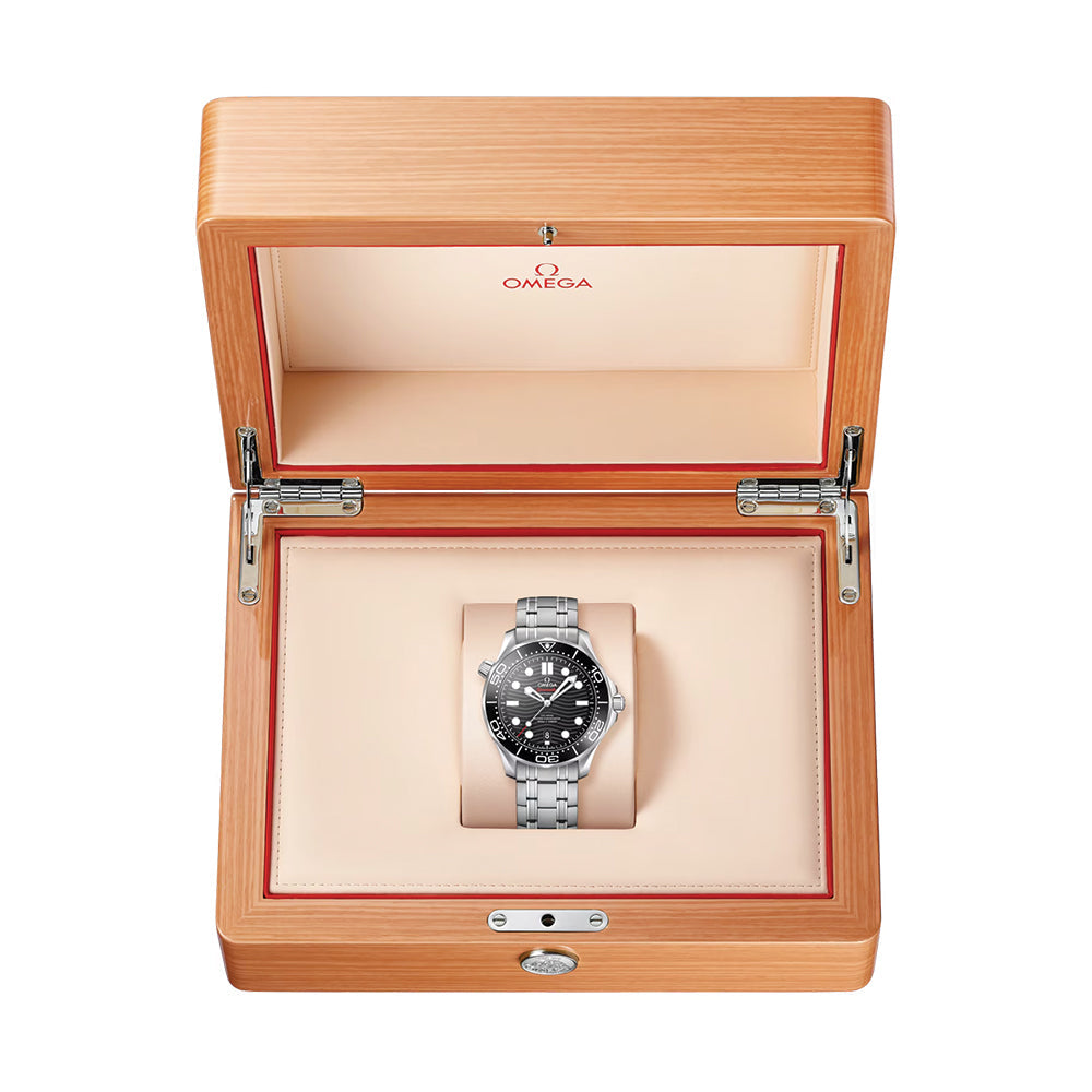 Seamaster Diver 300M 42mm - Black on Bracelet
